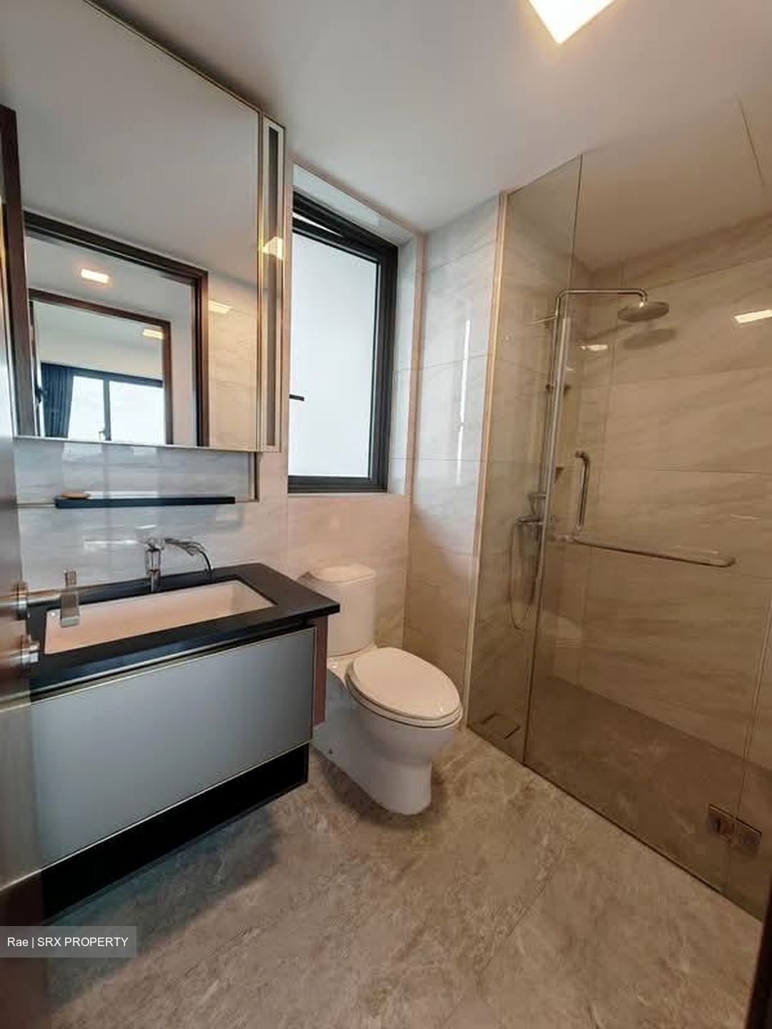 Normanton Park (D5), Apartment #597686621